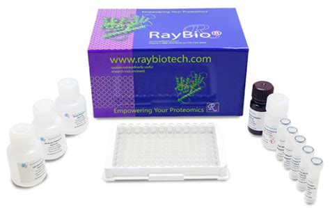 Ranibizumab ELISA Kit test (ab282900) 